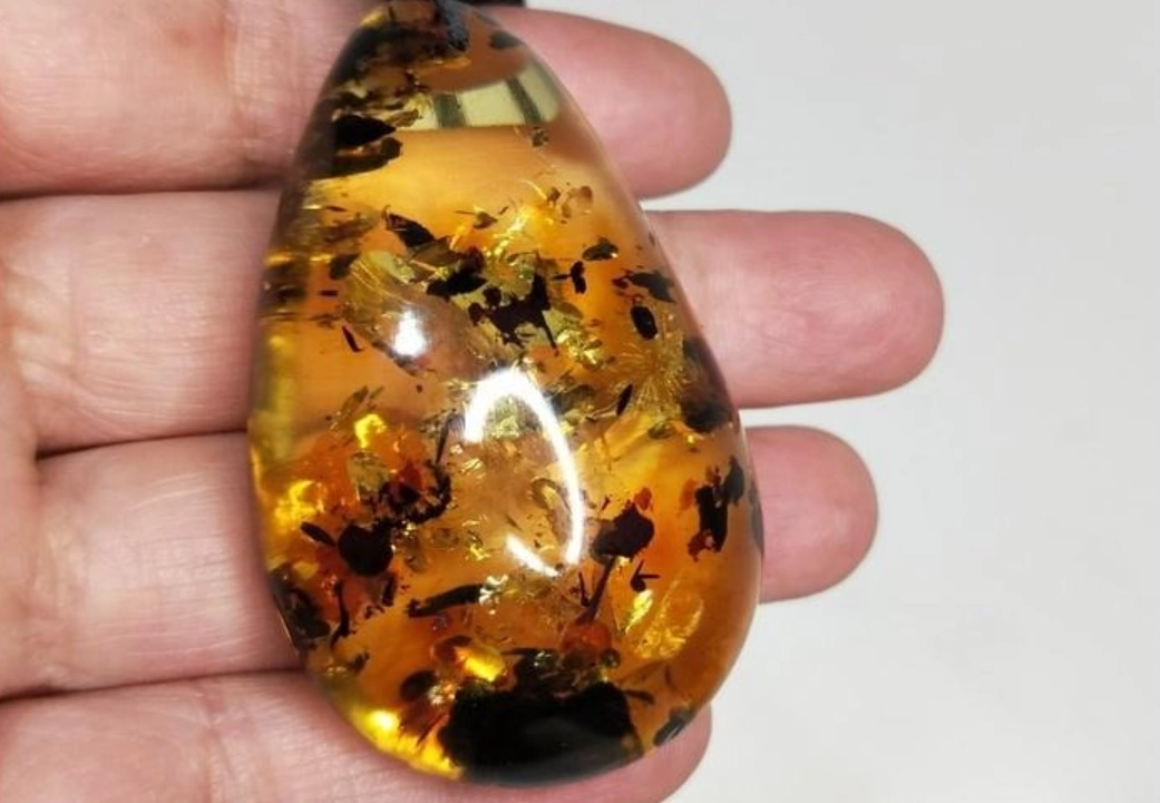 波羅的海琥珀 真假