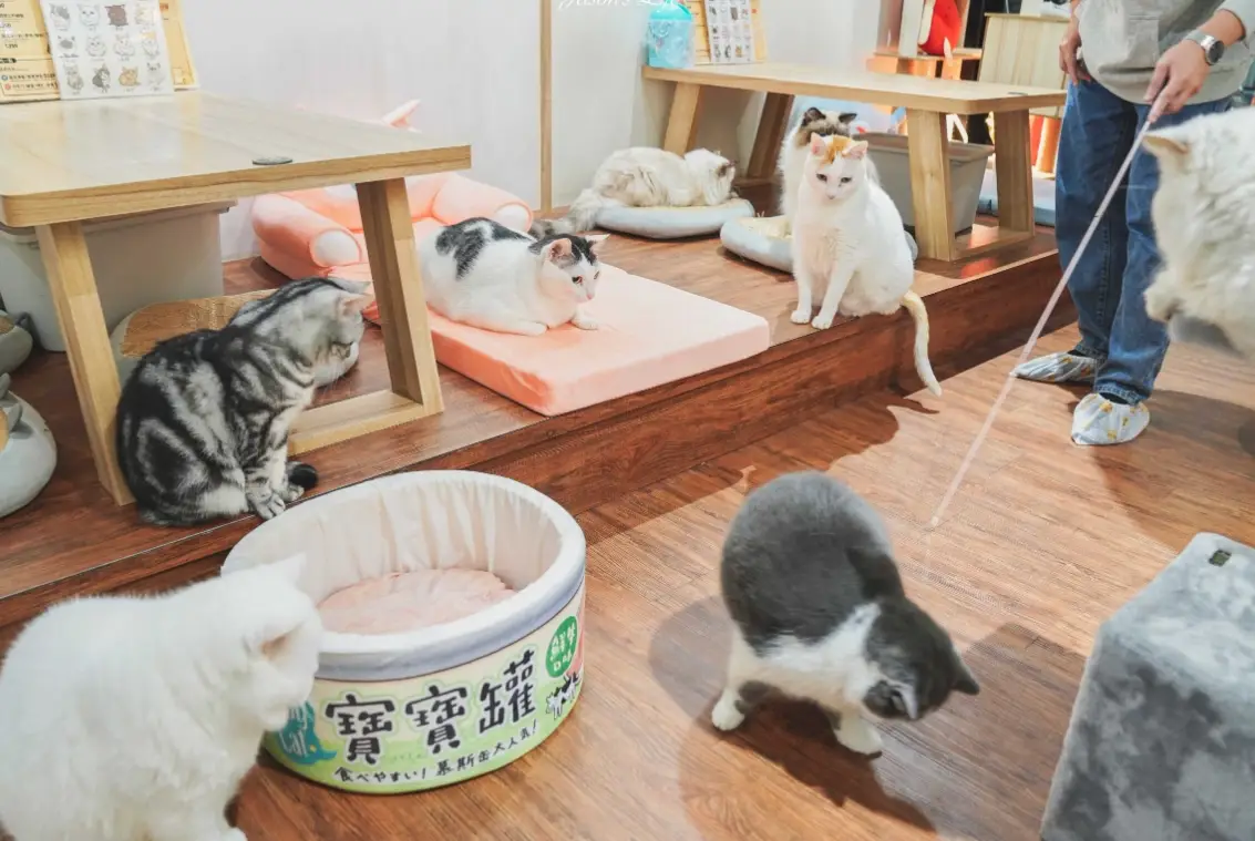 台中動物餐廳