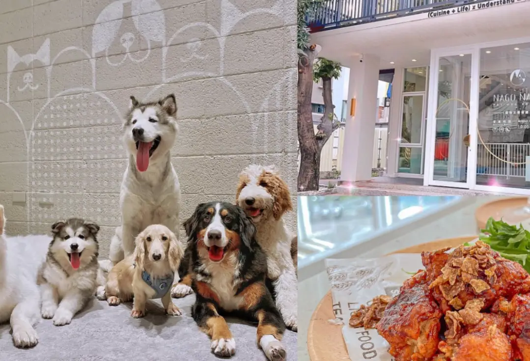 台中動物互動餐廳全攻略：特色比較、預訂技巧與毛孩同行須知