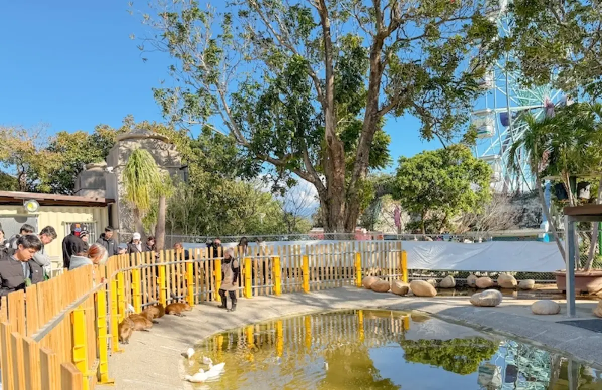 美樂地親子農場 交通