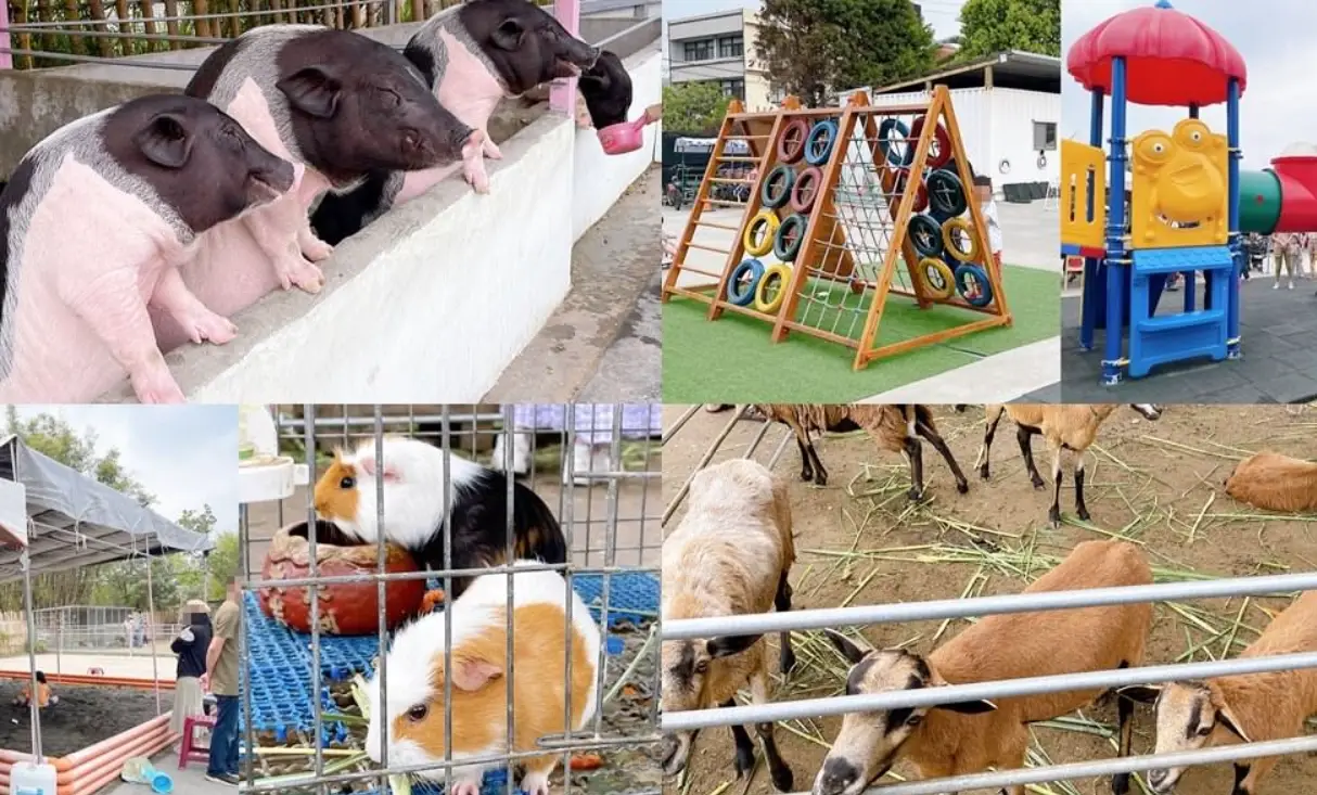 威爾森的農場完整攻略：門票、交通、體驗活動一次掌握