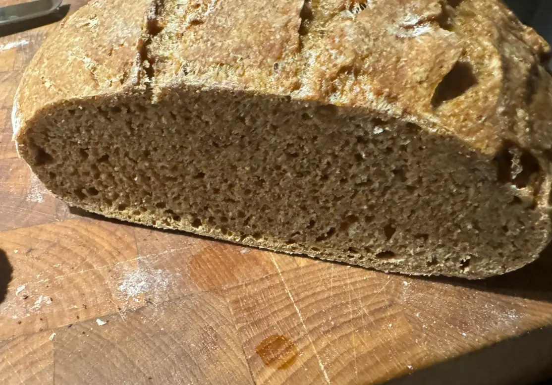 100%全麥麵包食譜：從失敗到成功的零失敗指南