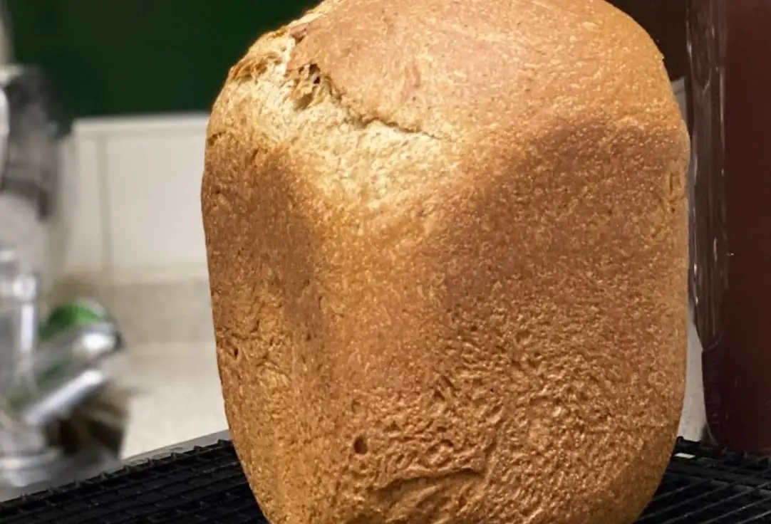 100全麥吐司麵包機