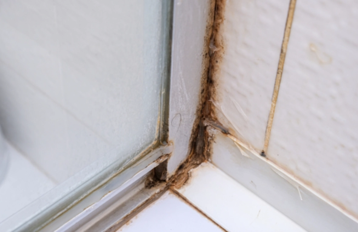 冰箱膠條發霉 冰箱膠條發霉