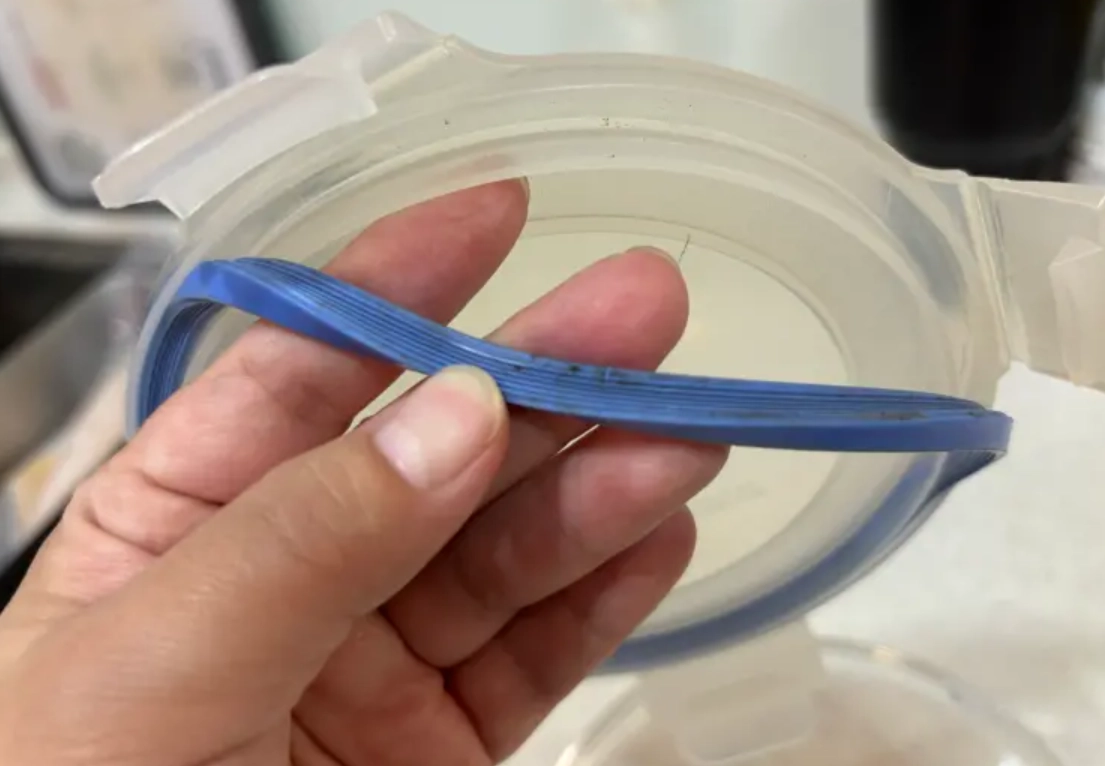 矽膠發霉如何處理