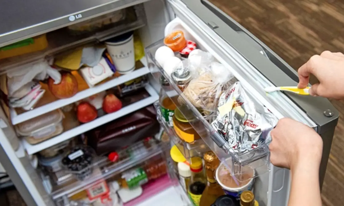 冰箱膠條發霉 冰箱膠條發霉