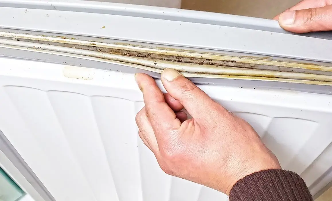 冰箱膠條發霉 冰箱膠條發霉