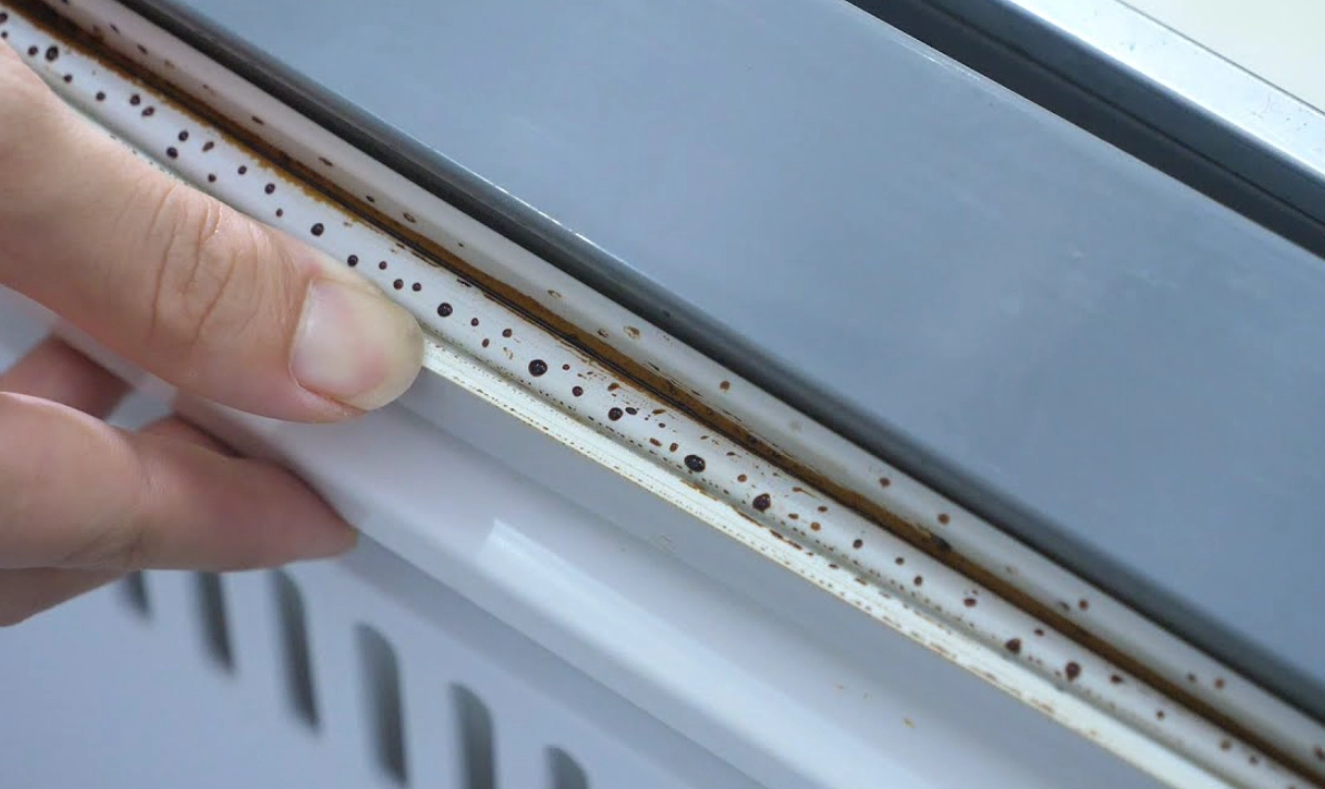 冰箱膠條發霉 冰箱膠條發霉