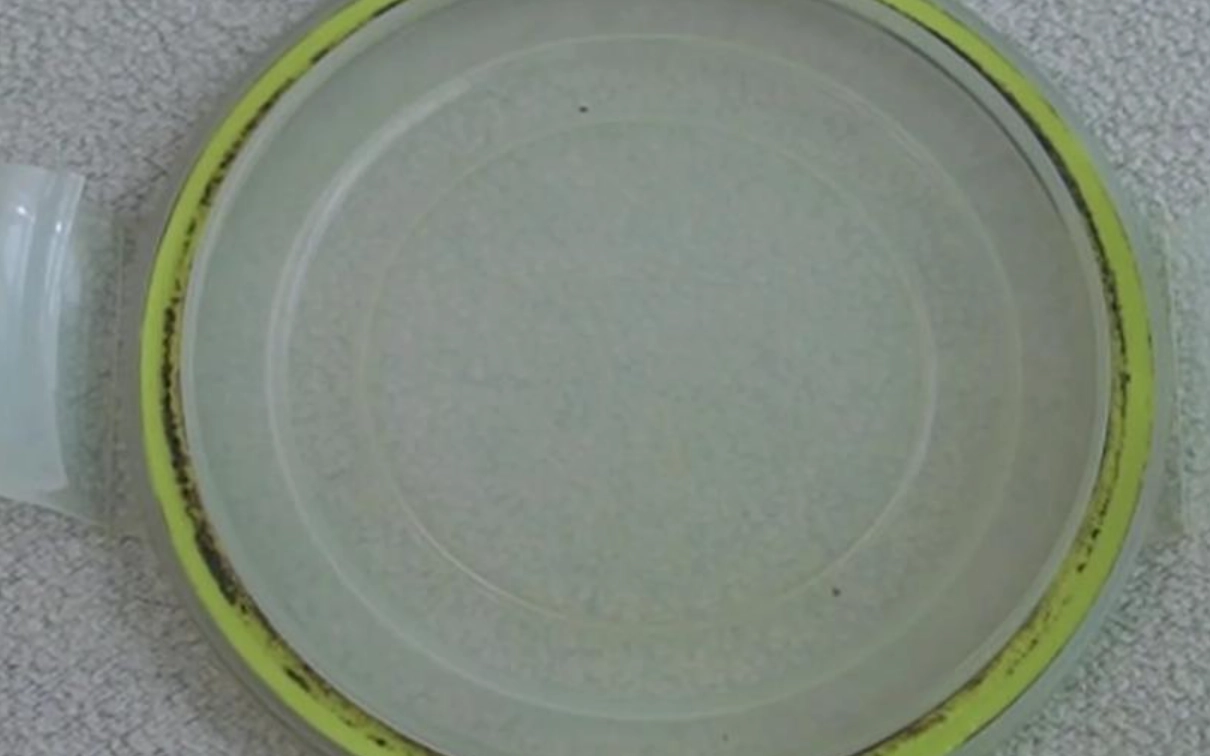 除霉方法 除霉方法