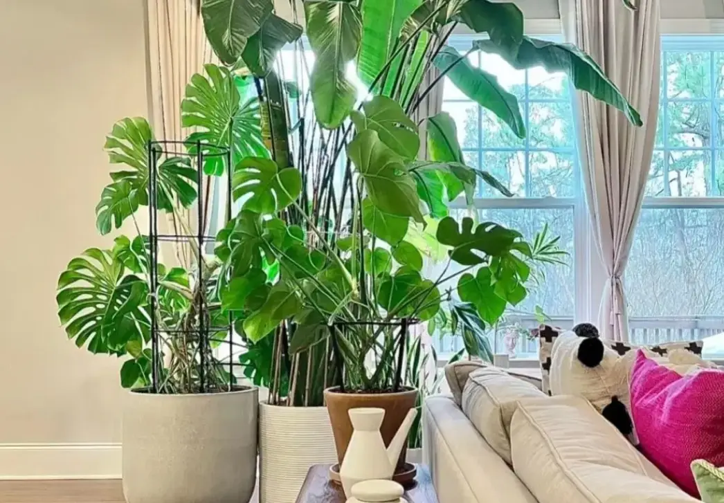 玻璃過濾紫外線