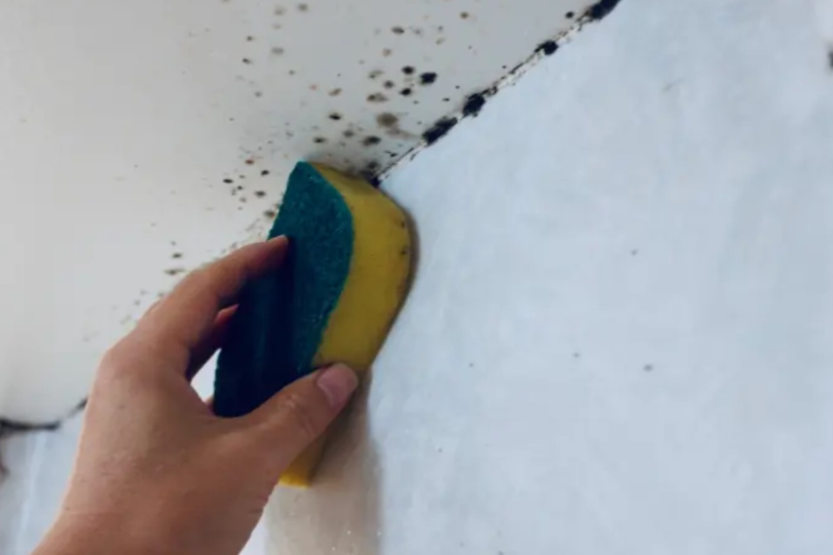 天花板發霉處理