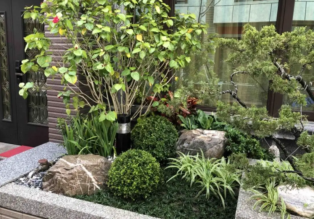 庭院植物推薦指南：打造低維護又美觀的私人綠洲