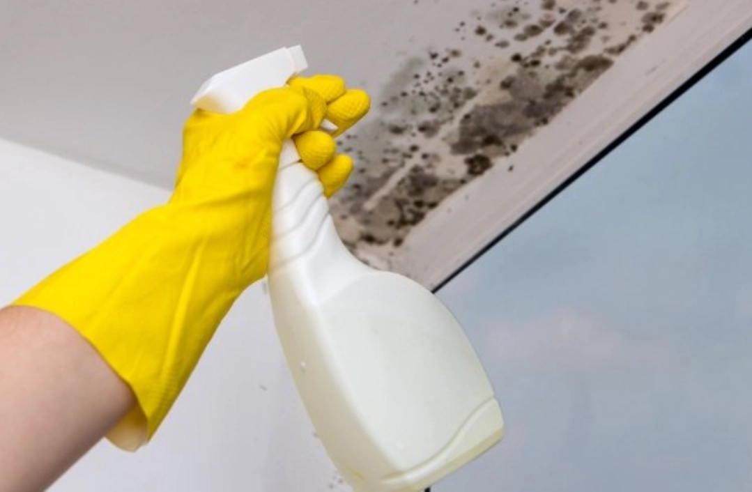 漂白水除霉 漂白水除霉