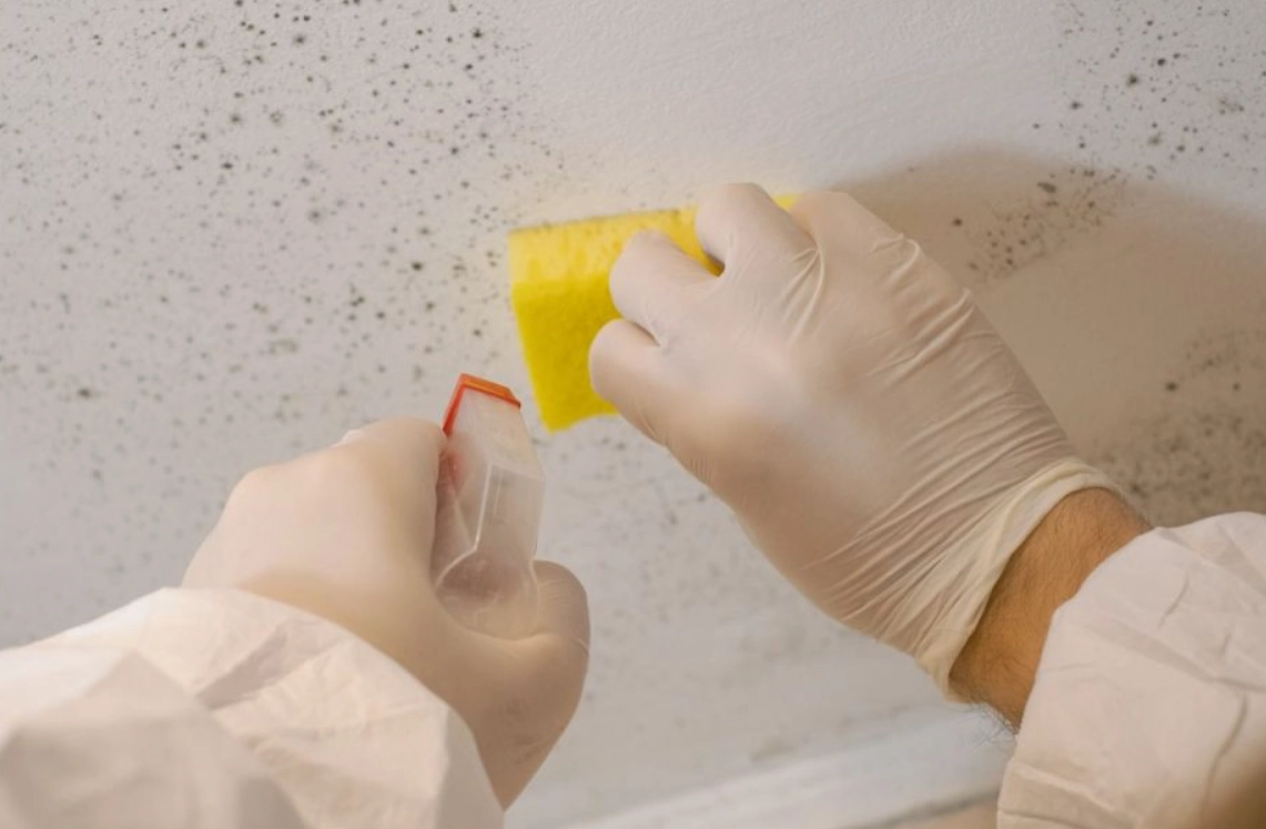 漂白水除霉 漂白水除霉