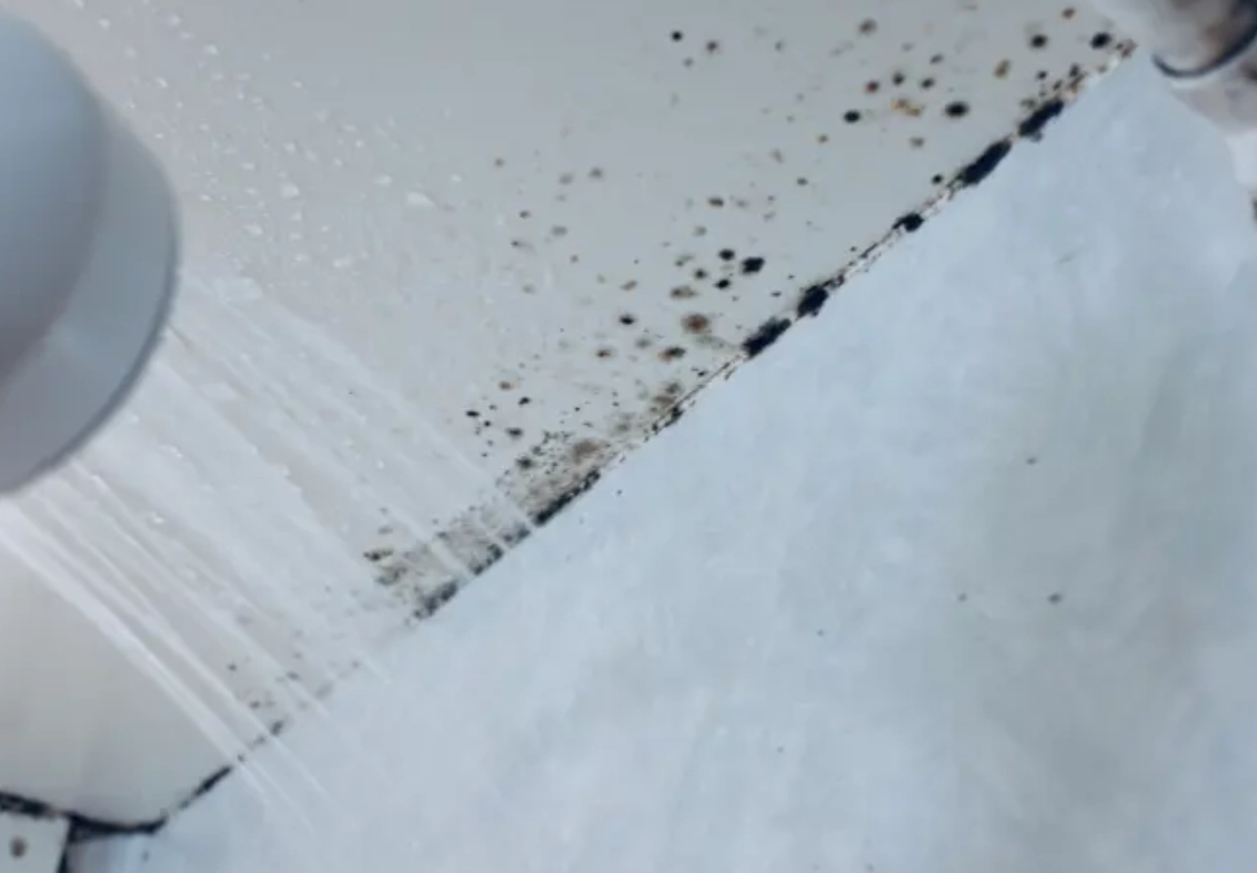 天花板發霉處理全攻略：DIY清除步驟與長期預防秘訣