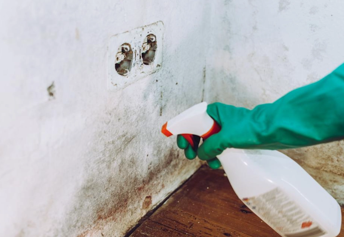 漂白水除霉 漂白水除霉