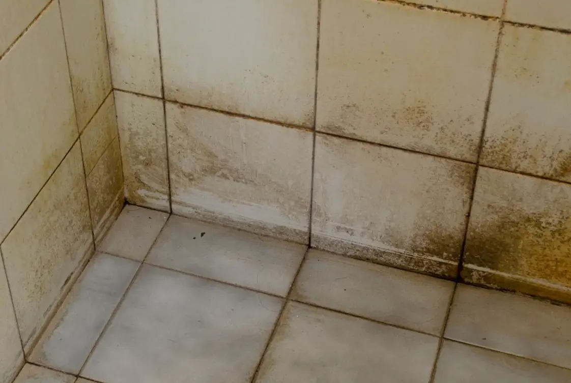 浴室磁磚清潔 浴室磁磚清潔