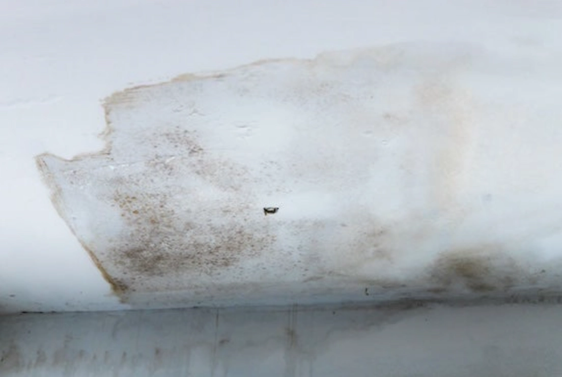 天花板發霉處理