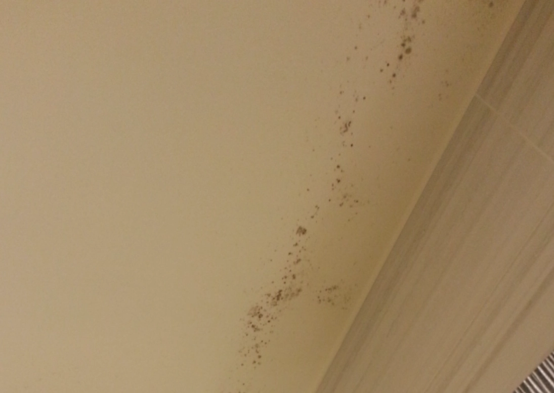 天花板發霉原因