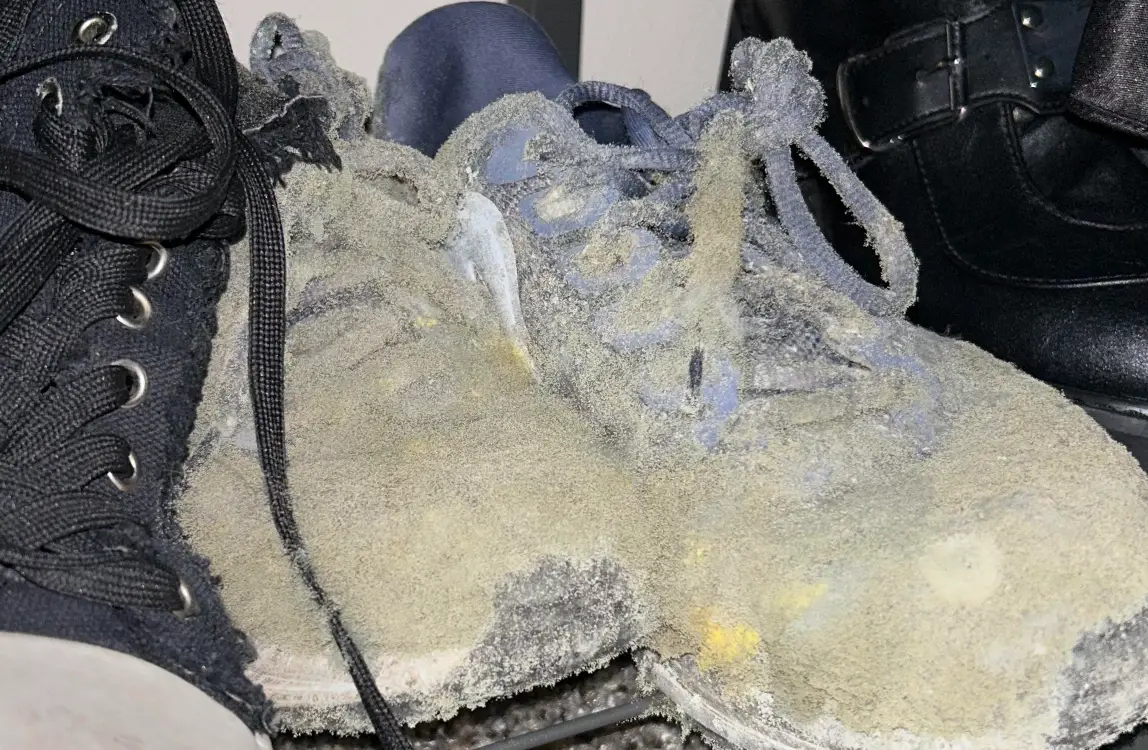 鞋子發霉處理 鞋子發霉處理