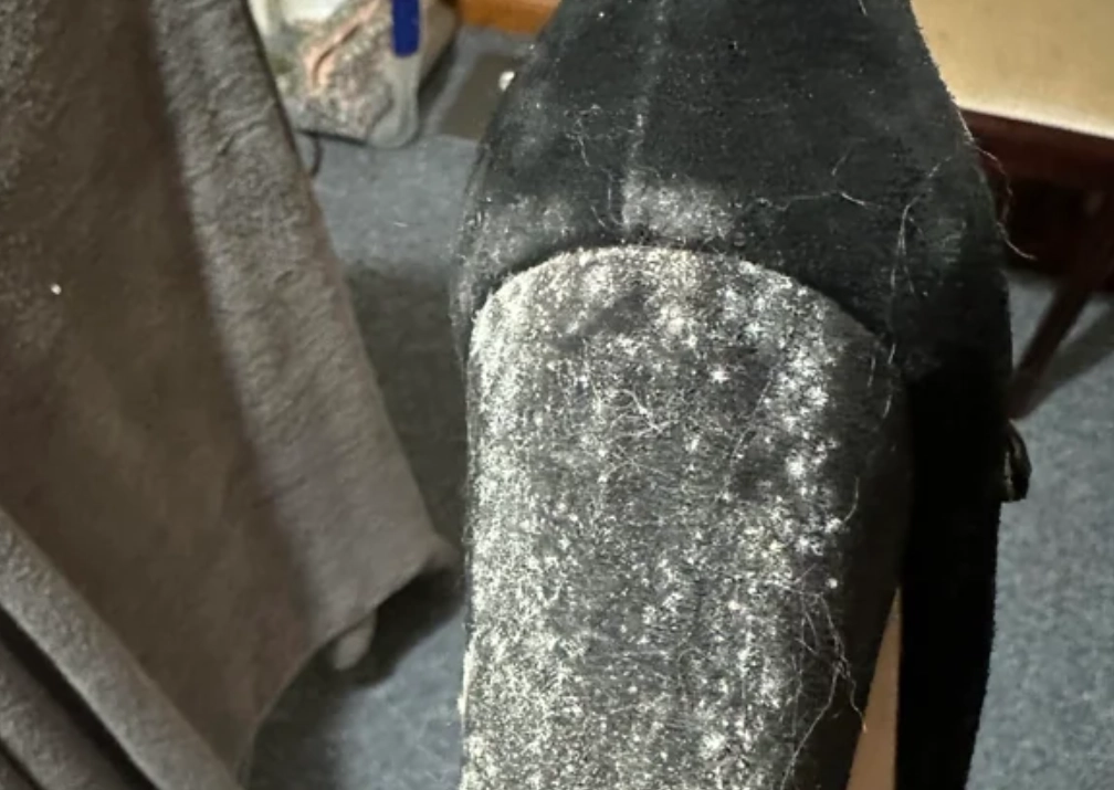 鞋子防霉方法 鞋子防霉方法