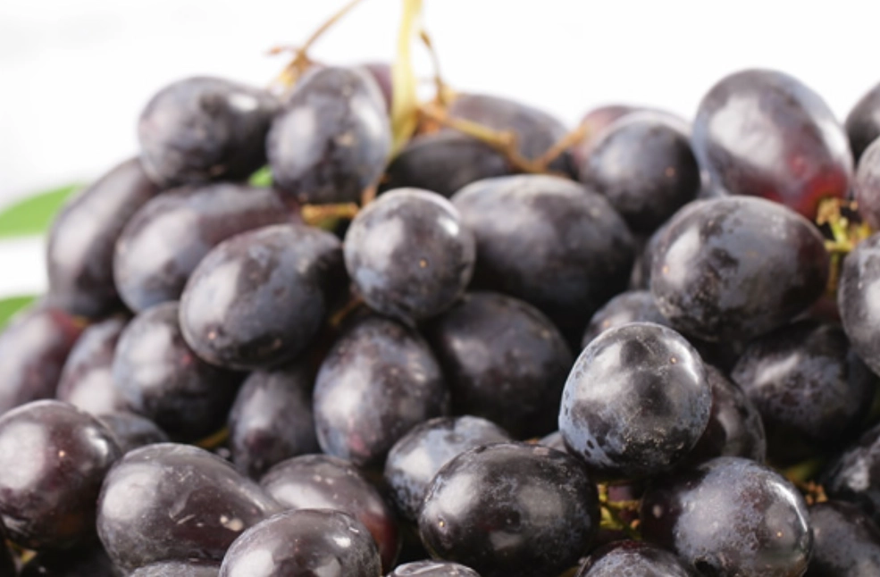 巨峰葡萄