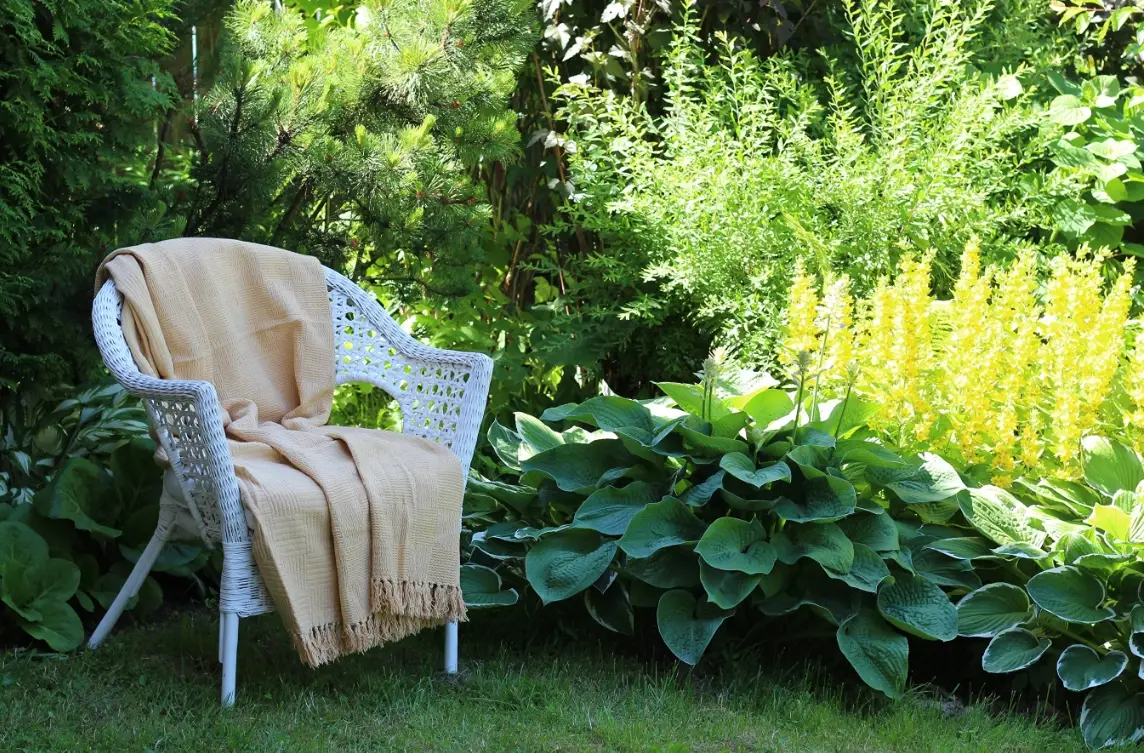 台灣氣候適合的庭園樹