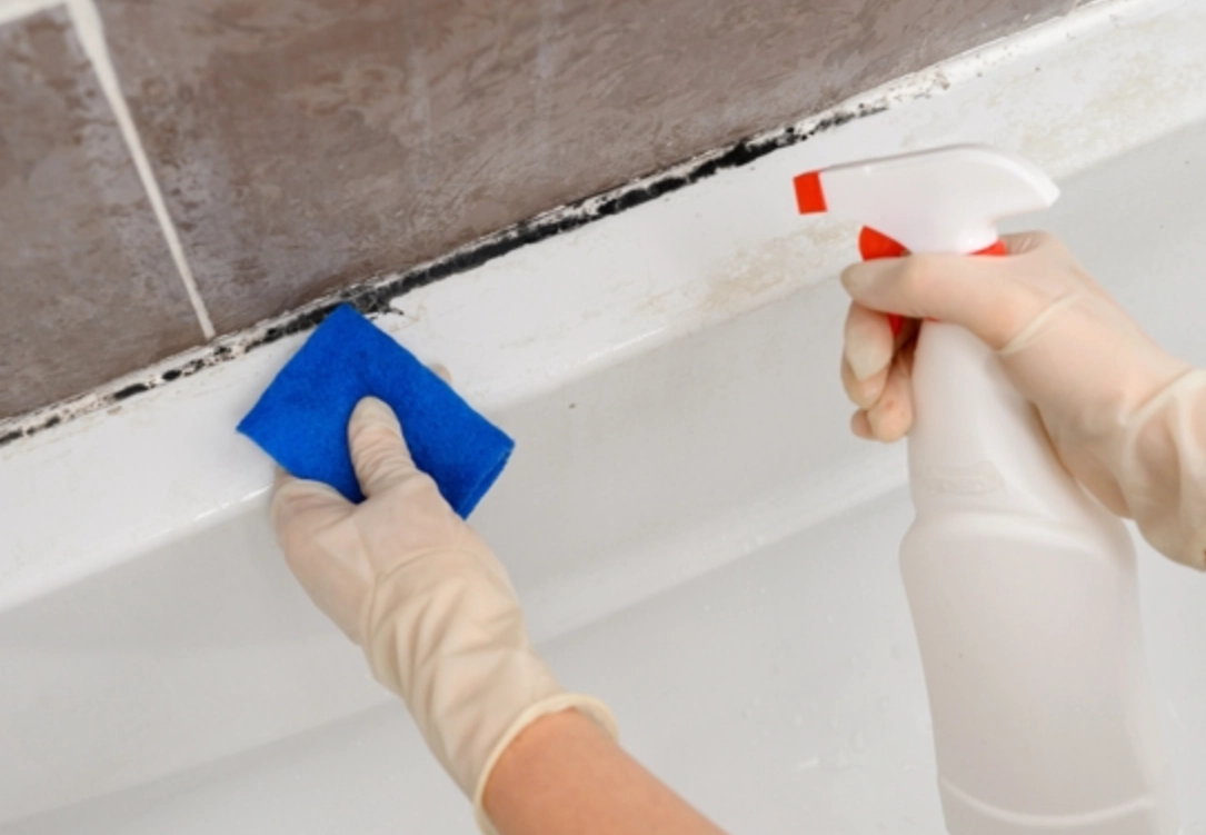 浴室霉斑 浴室霉斑