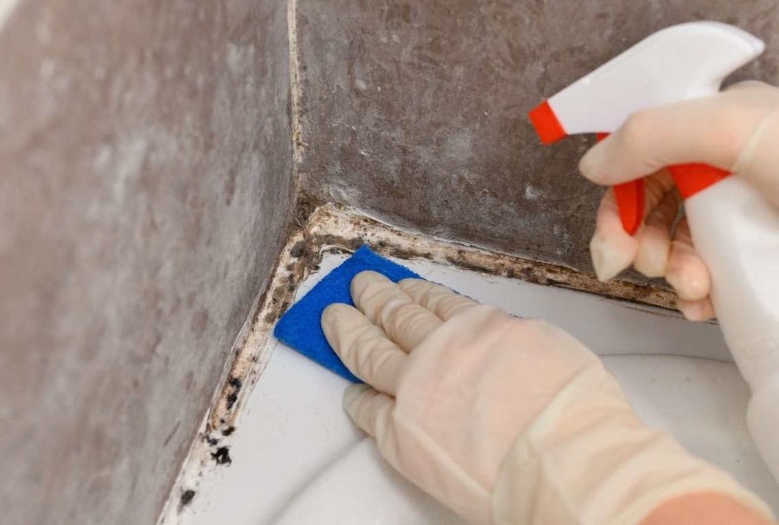 浴室霉斑 浴室霉斑