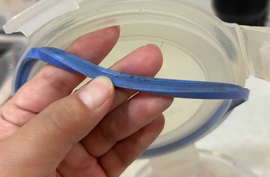 保鮮盒膠條發霉