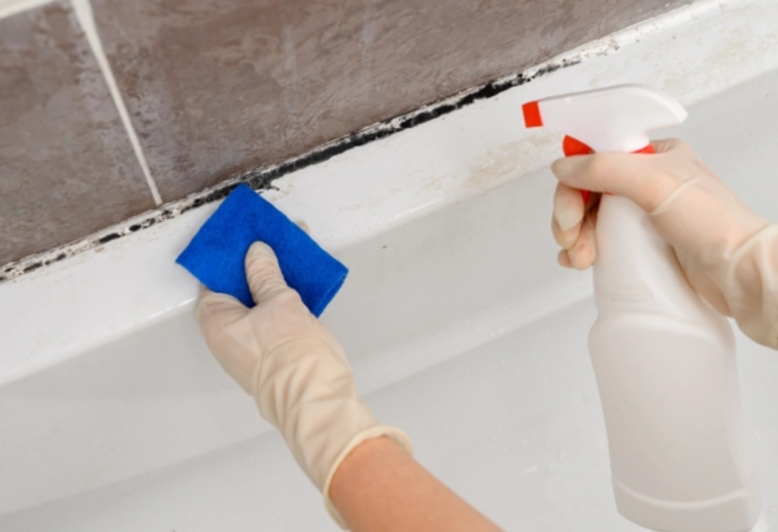 天然除霉方法 天然除霉方法