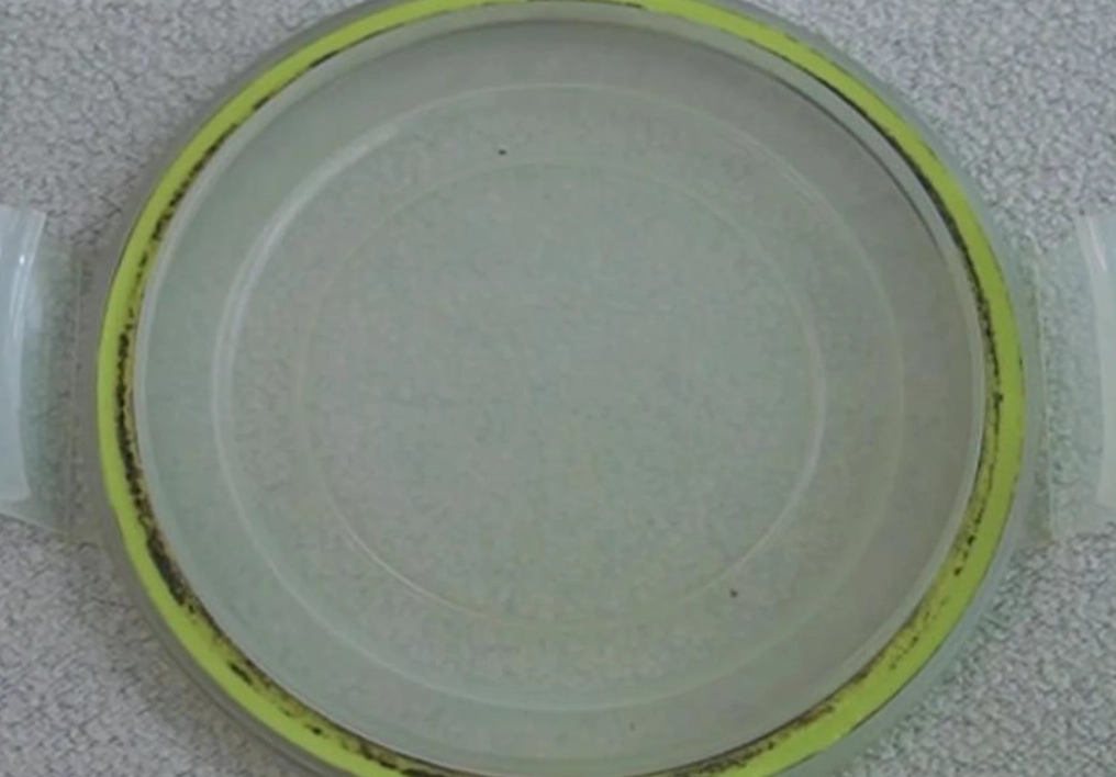 保鮮盒黴菌處理