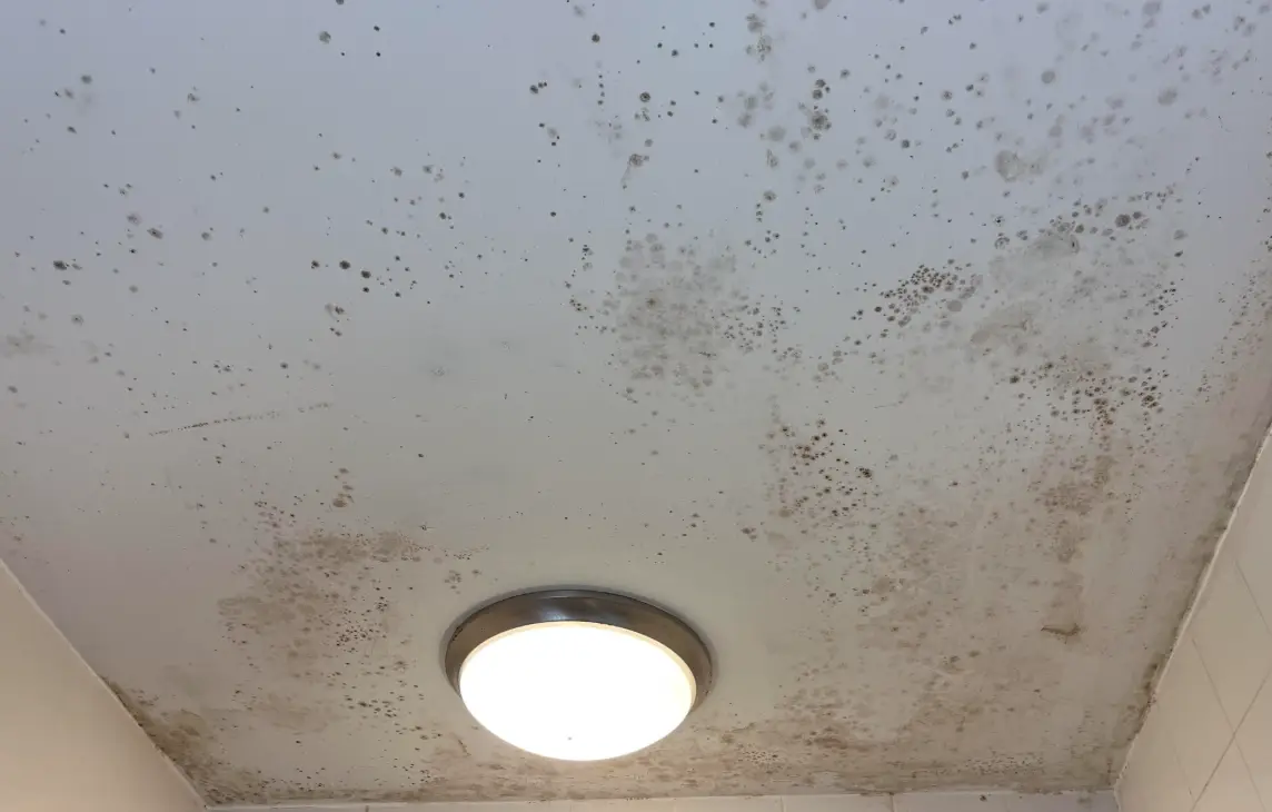 天花板發霉處理