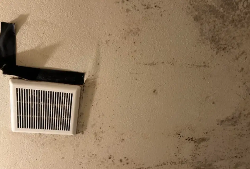 天花板發霉漂白水