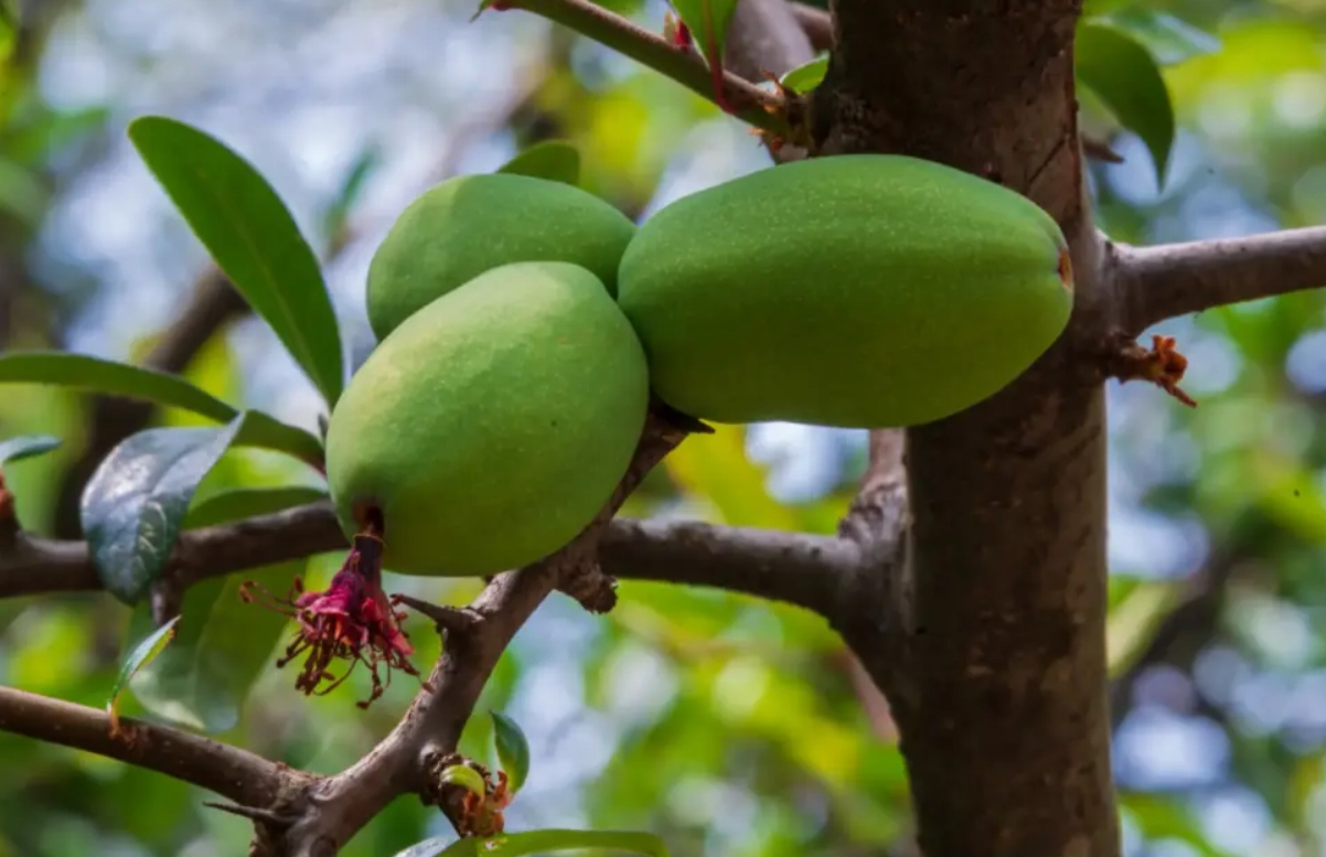 耕耘與收穫 意義