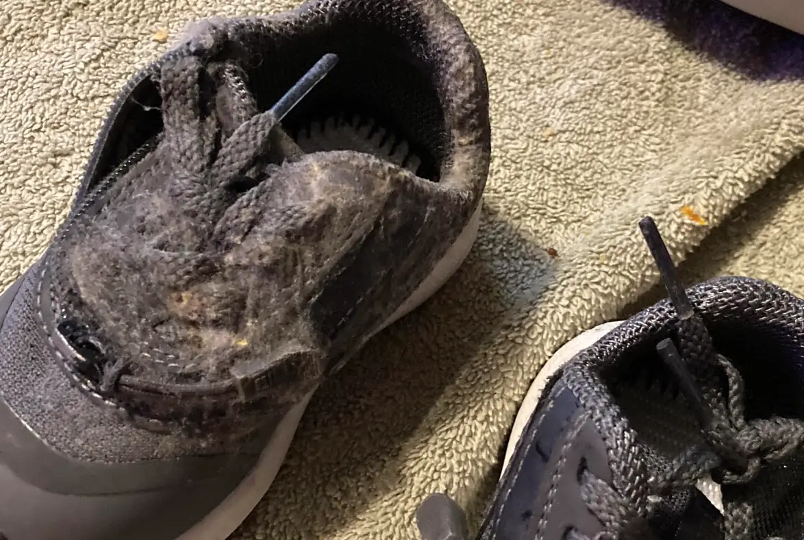 運動鞋發霉處理