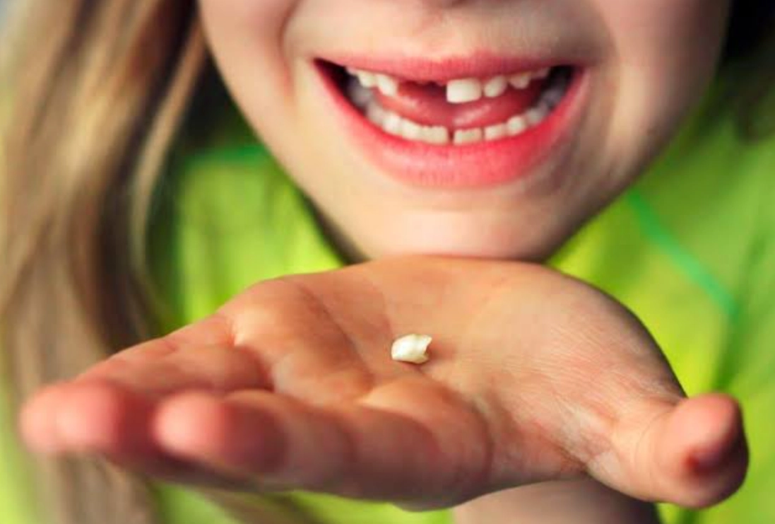 夢見牙齒掉落沒流血