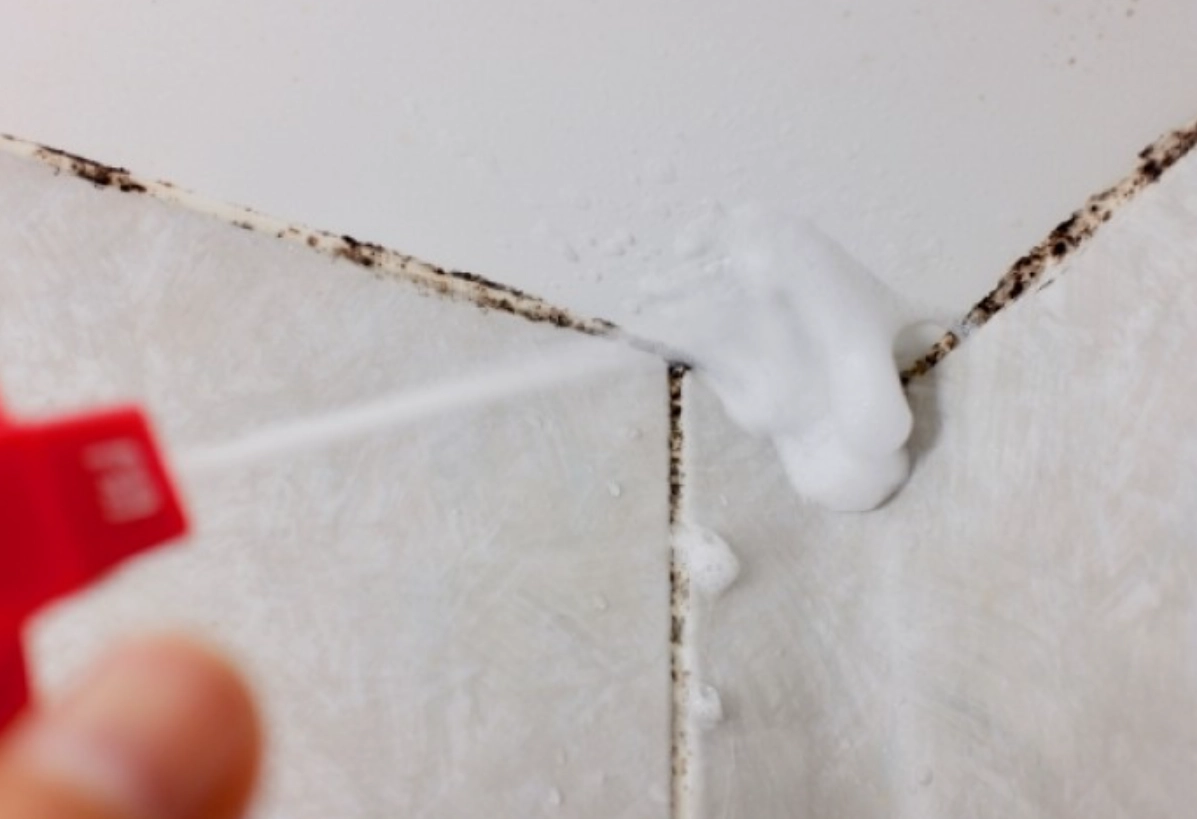 除霉方法 除霉方法