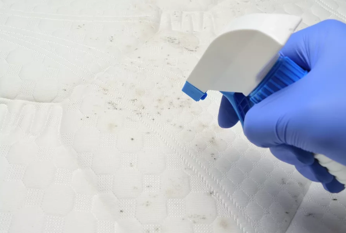 除霉方法 除霉方法