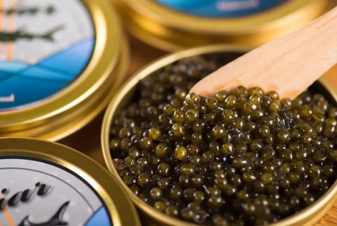魚子醬來源