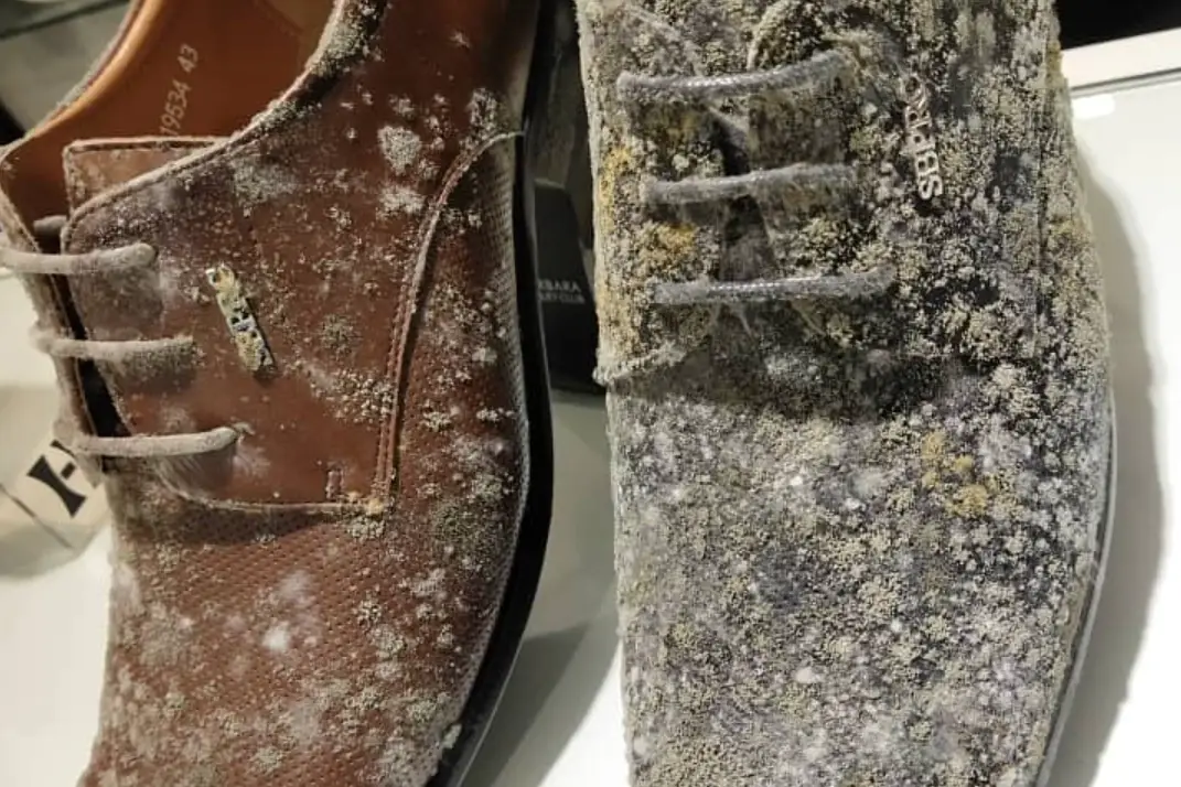 鞋子發霉還能穿嗎