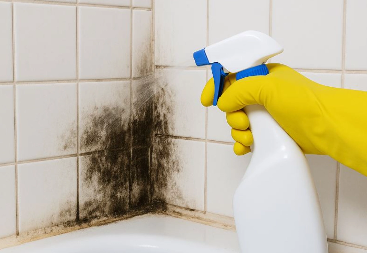 牆壁發霉處理 牆壁發霉處理