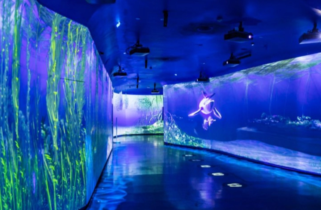 深圳親子室內遊樂