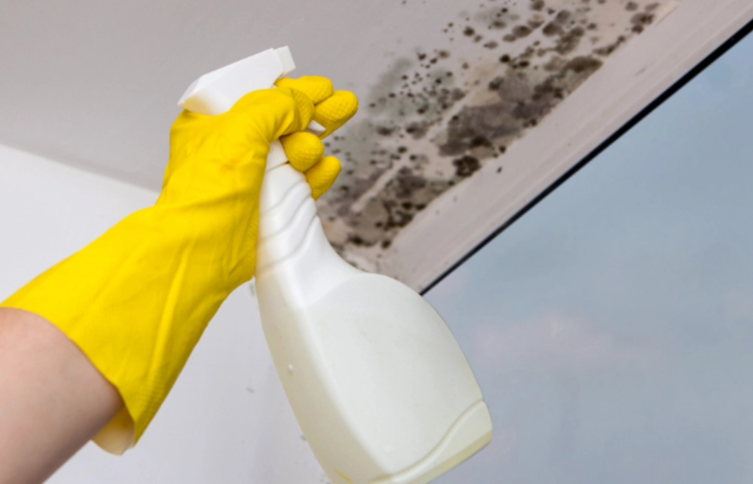 除霉劑使用方法