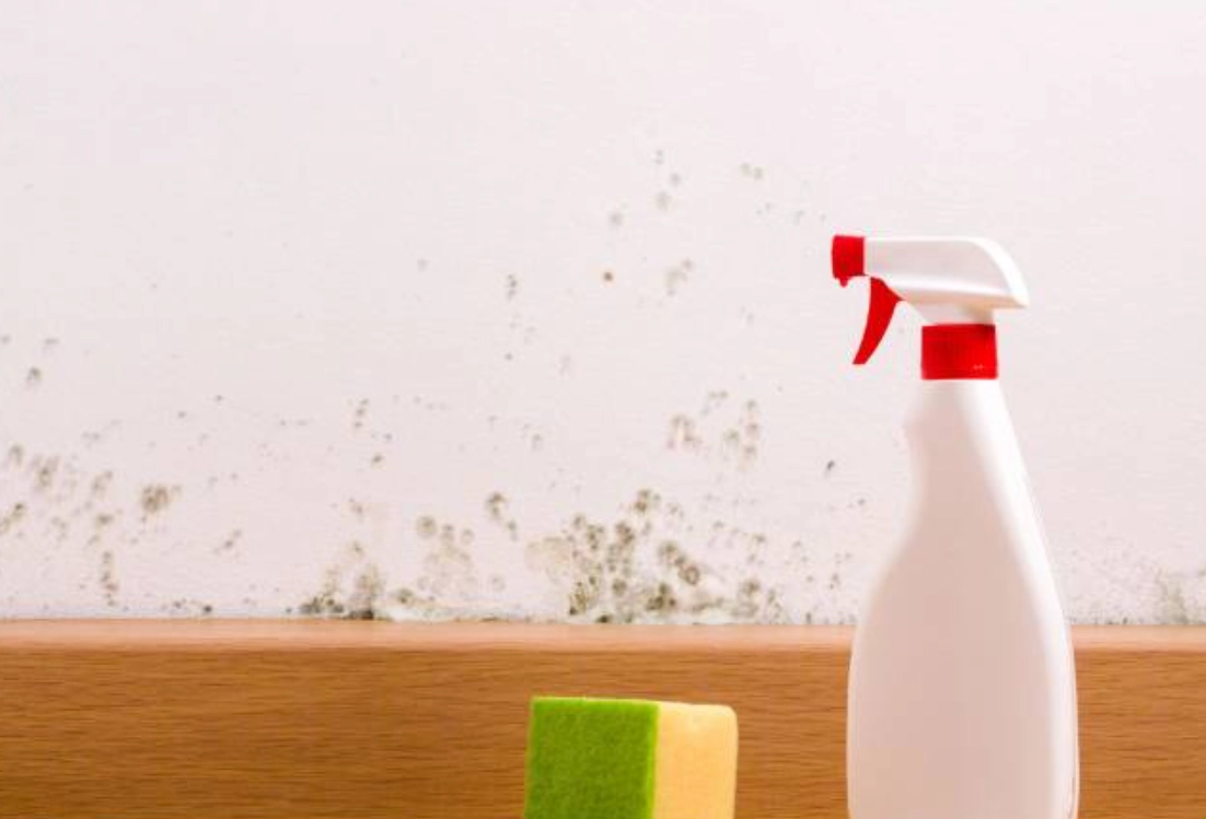 除霉劑使用方法