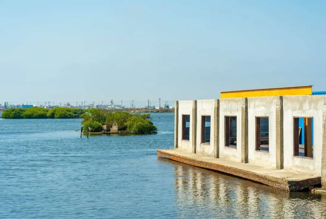 成龍濕地 成龍濕地