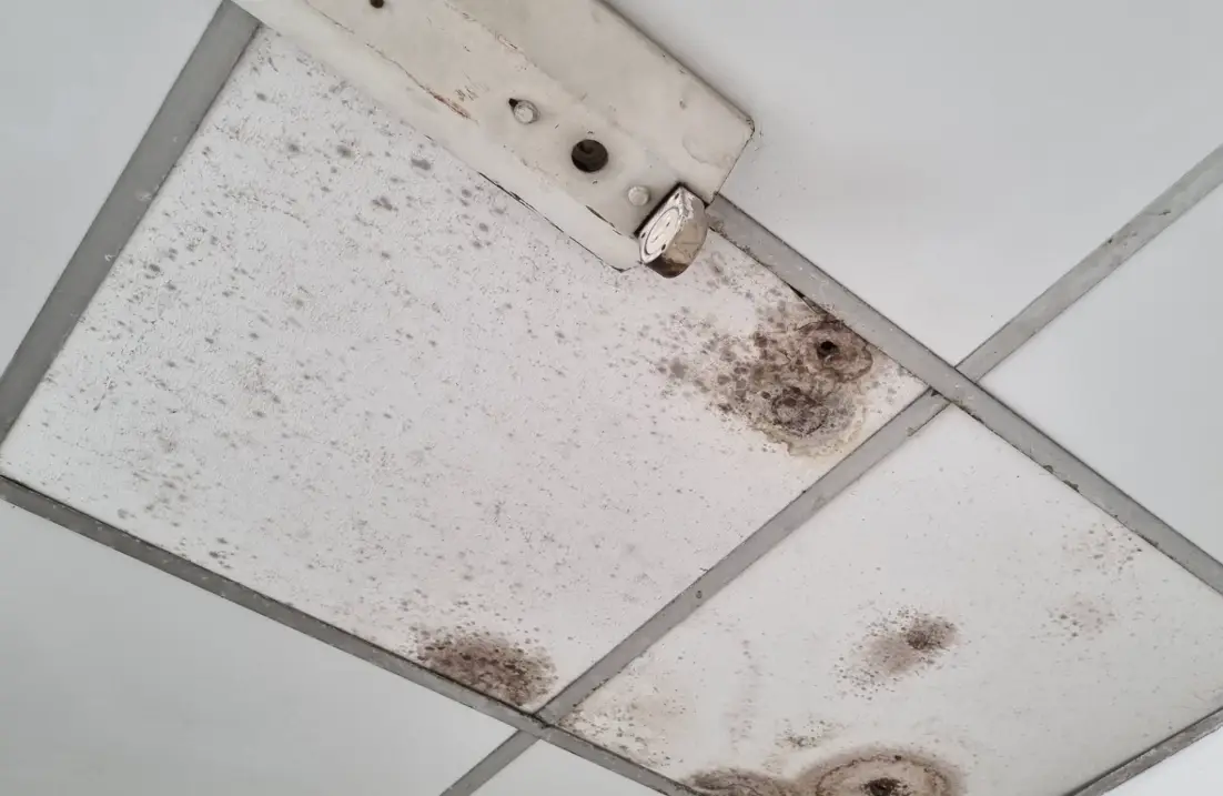 天花板發霉處理