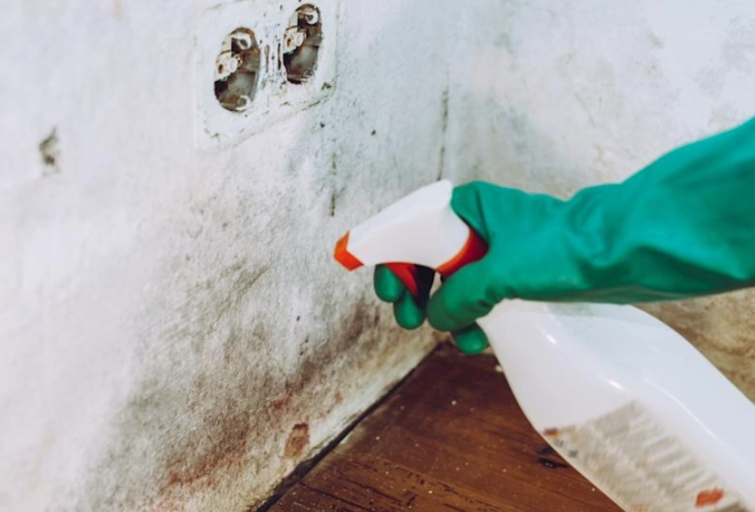 除霉劑使用方法