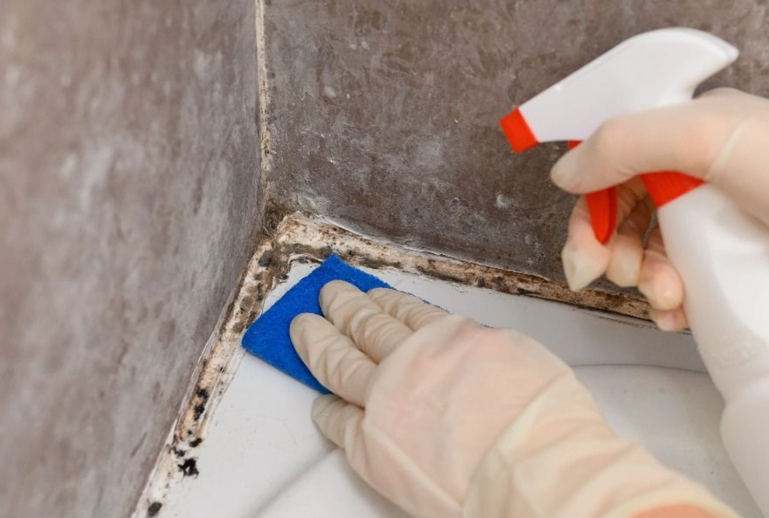 除霉方法 除霉方法