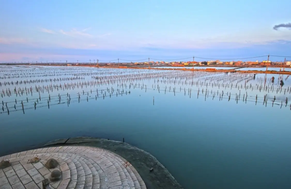 台西海園 台西海園